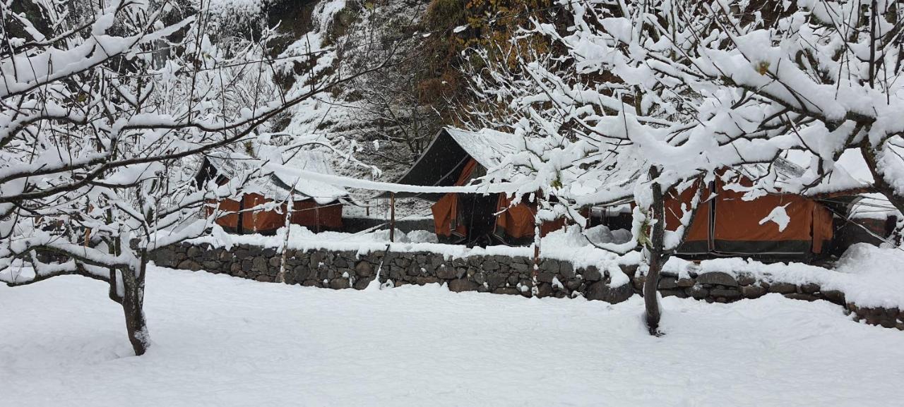 Himtrek Riverside Camps & Hostel Manali Εξωτερικό φωτογραφία