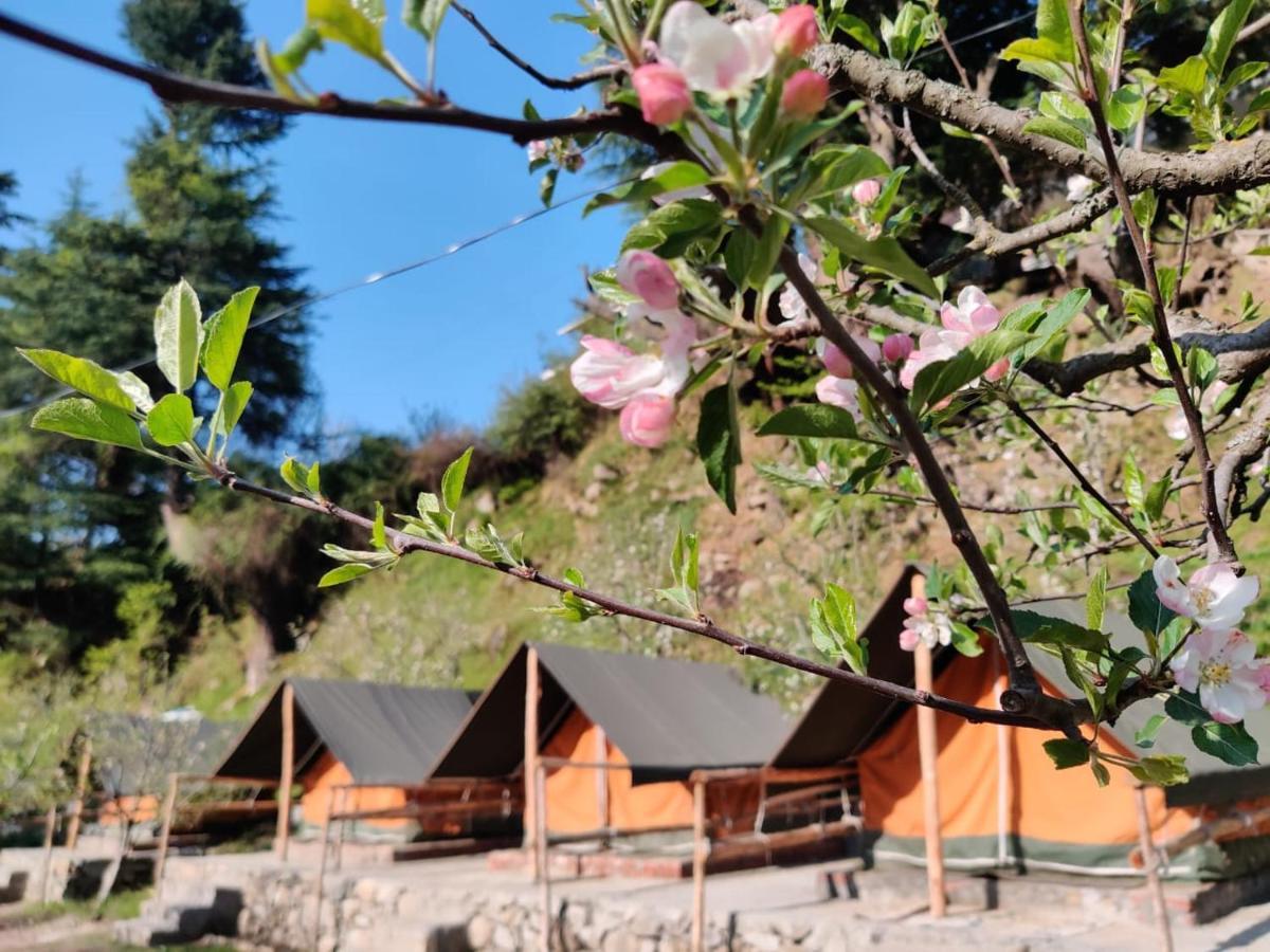 Himtrek Riverside Camps & Hostel Manali Εξωτερικό φωτογραφία
