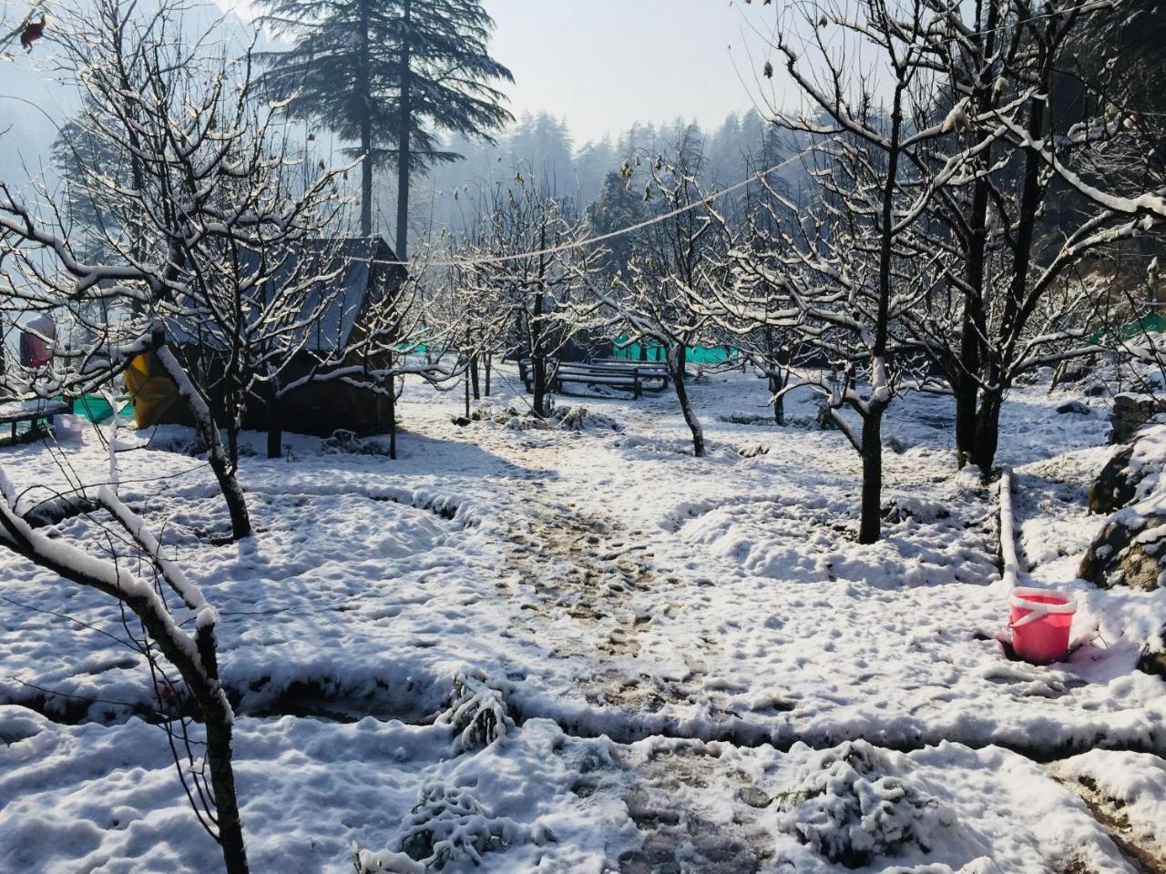 Himtrek Riverside Camps & Hostel Manali Εξωτερικό φωτογραφία